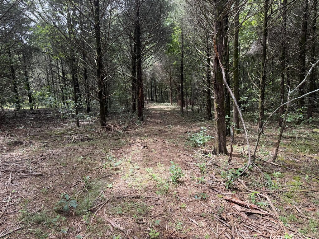 Picture 15