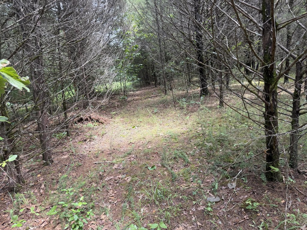 Picture 17