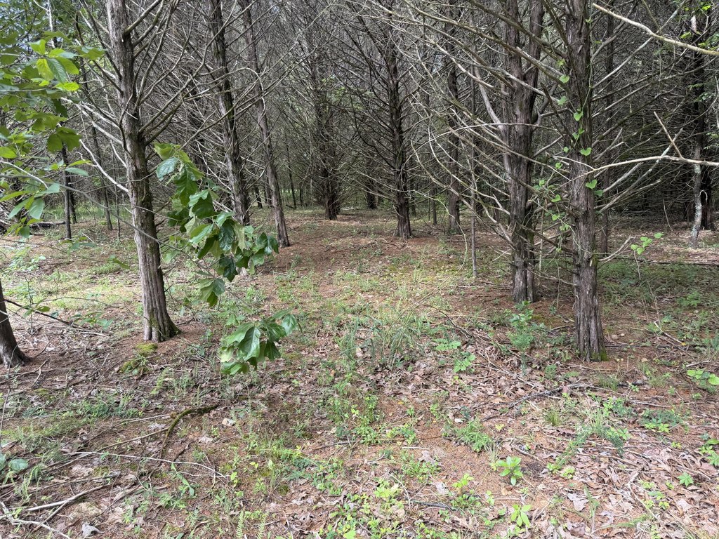 Picture 13