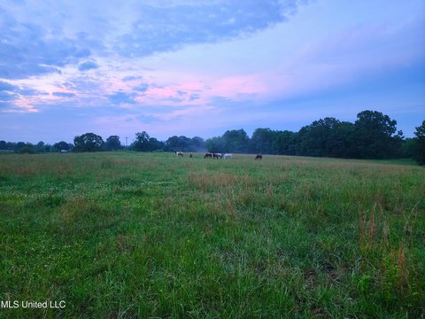 Pasture Land in Holly Springs