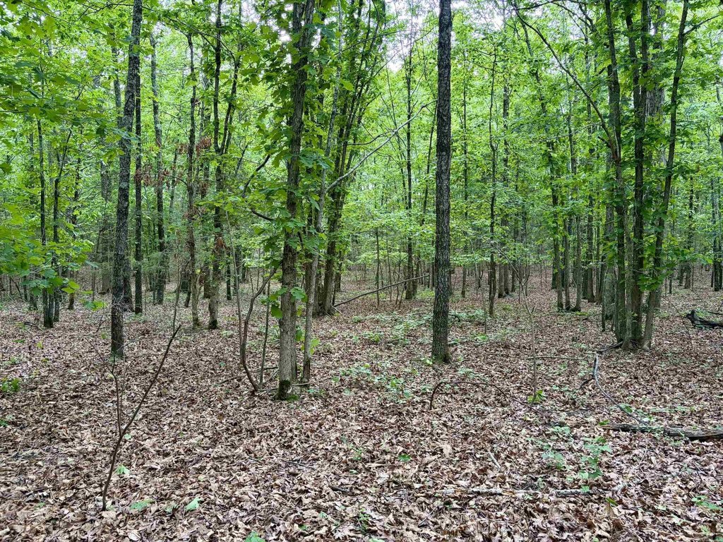 Picture 30