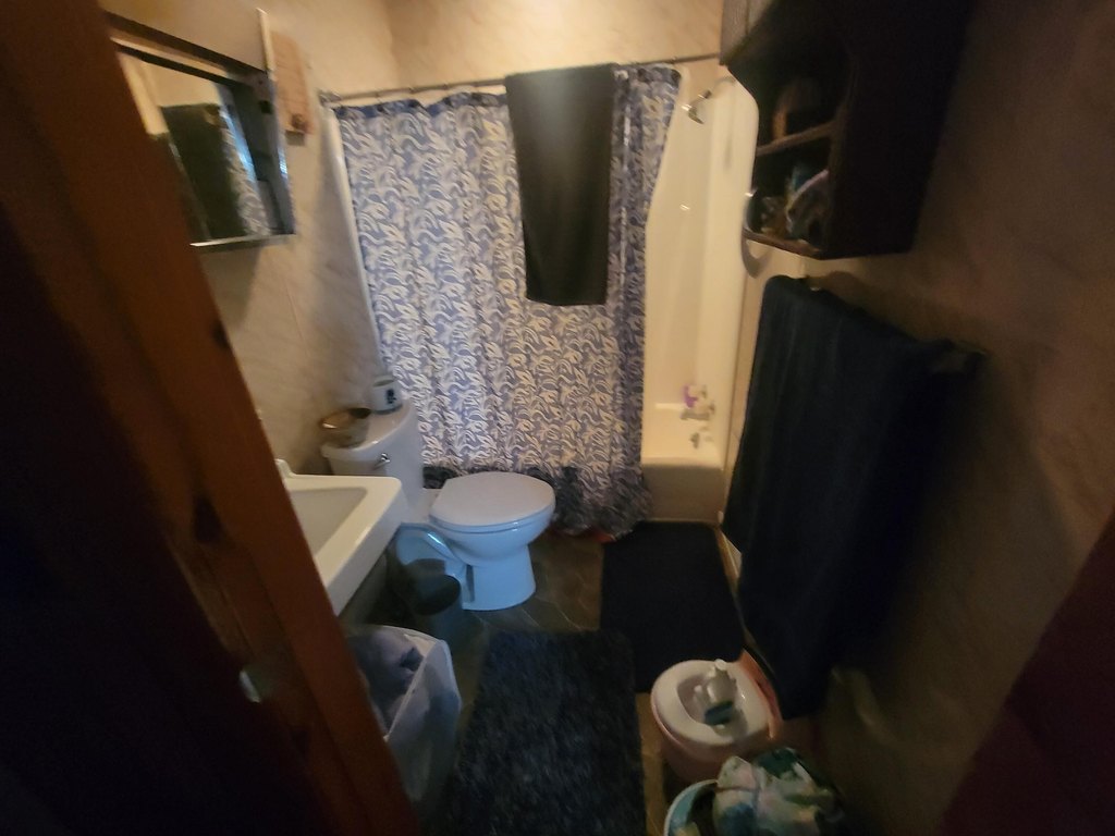 Picture 18