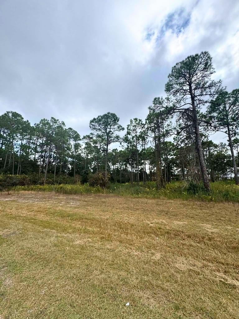 Eastpoint Homesite in Magnolia Ridge