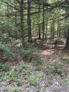 Land, Hawley, PA