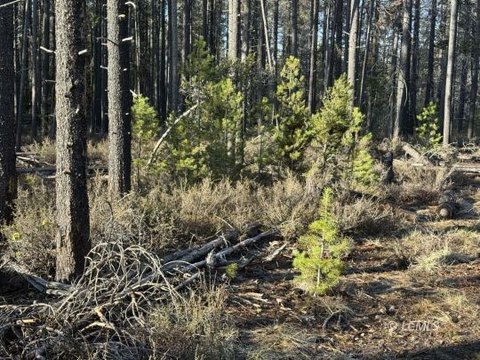 Chemult Acreage with Mountain Views