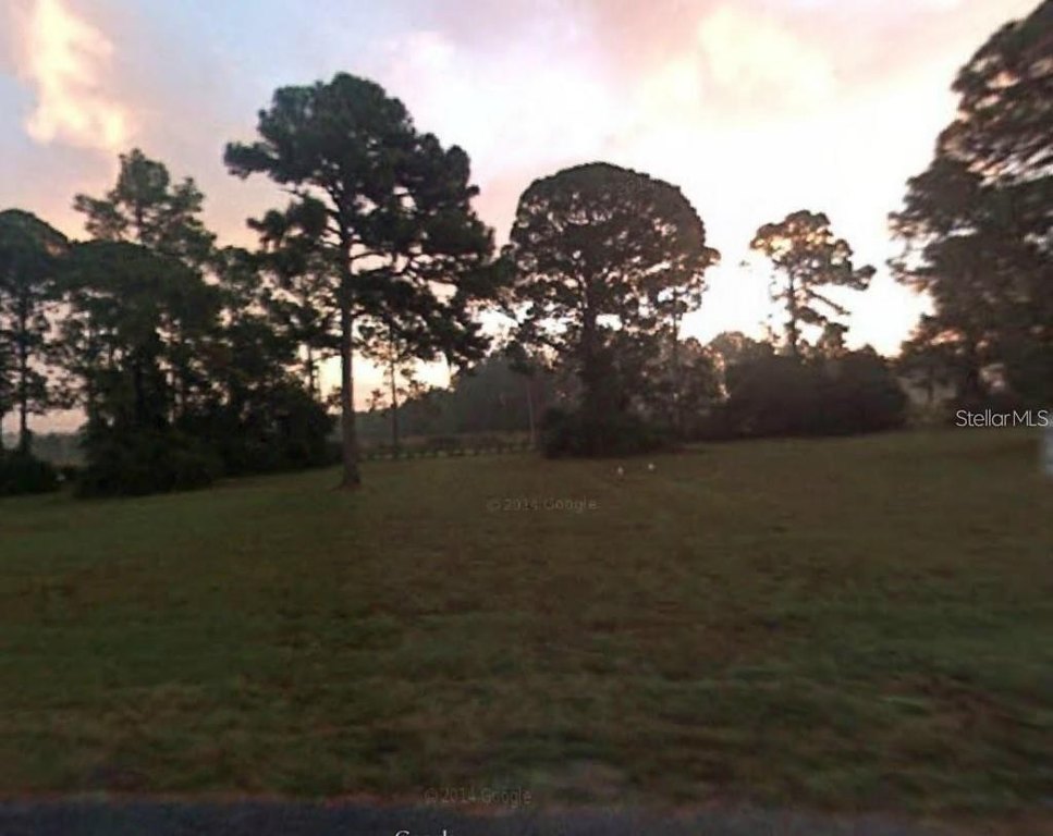 Picture 3