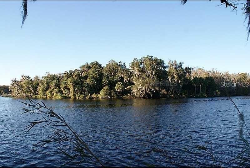 Picture 15