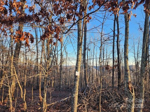 Residential Lot in Gated Community