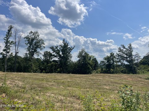 Strawberry Plains Land For Sale
