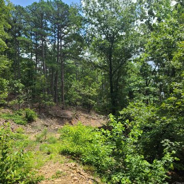 LAND - Hot Springs, AR