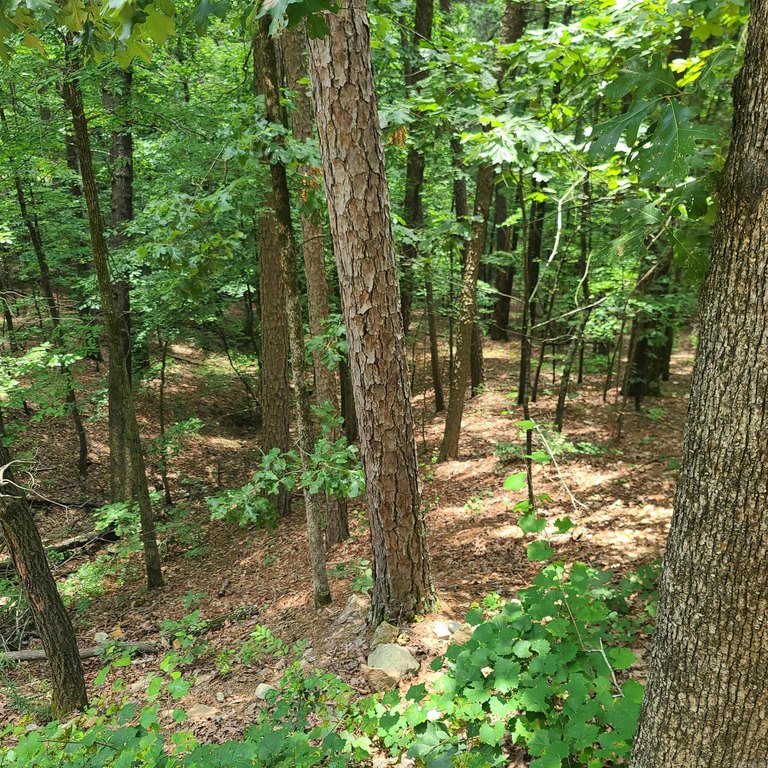 Picture 4