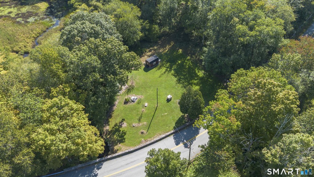 Picture 14