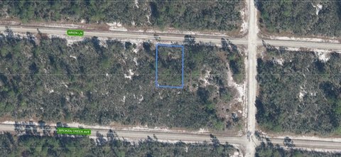 Land - LAKE PLACID, FL