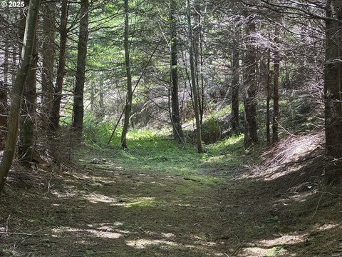 Secluded Forest Land Near State Park
