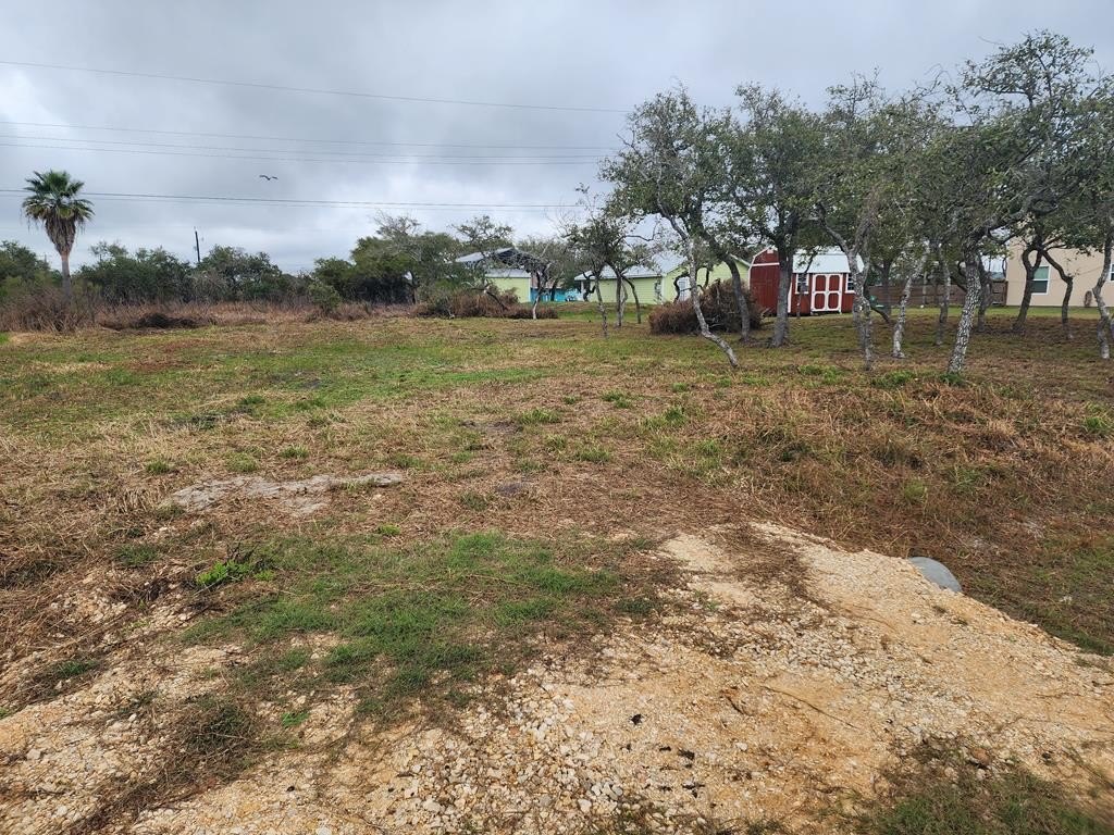Picture 2