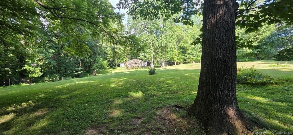 Picture 8