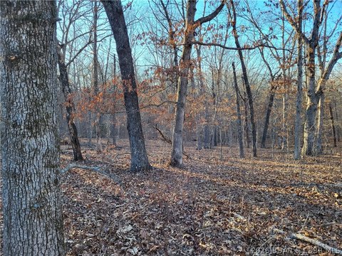Wooded Land in Gated Community