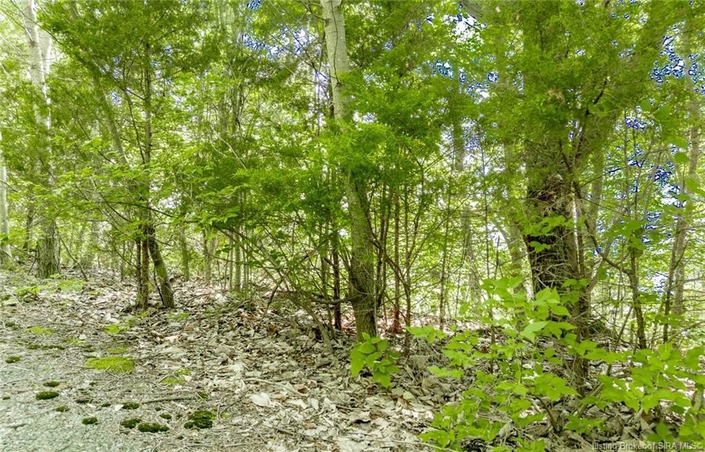 Picture 19