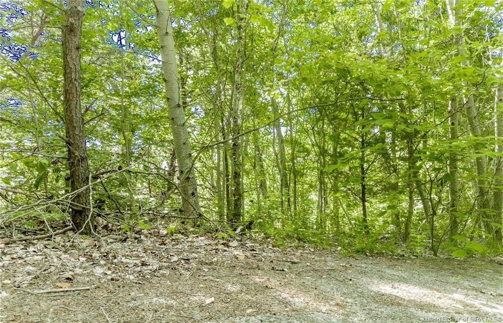Picture 20