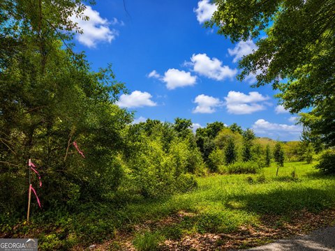 LAND - Monroe, GA
