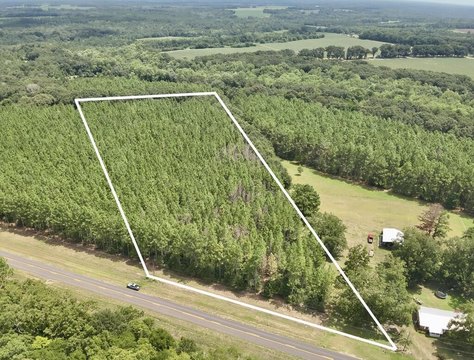 Land, Coffee Springs, AL