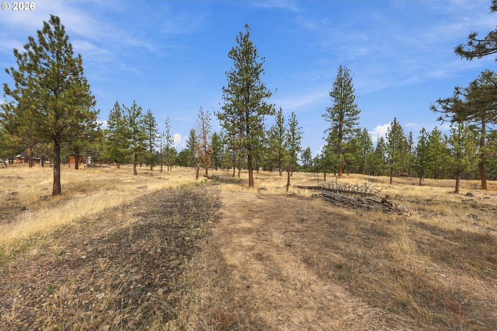 Picture 15