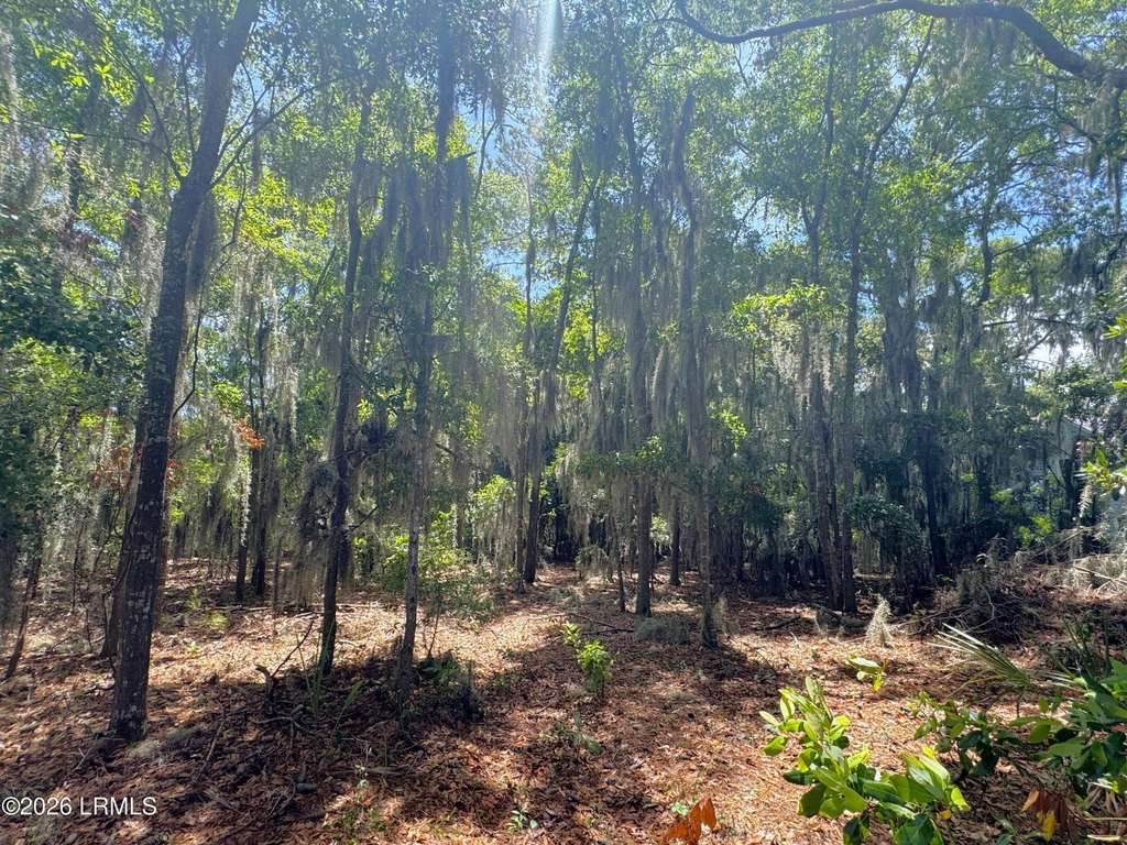 Picture 22