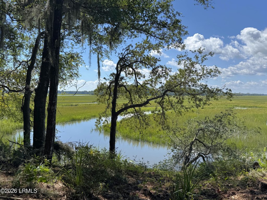 Picture 19