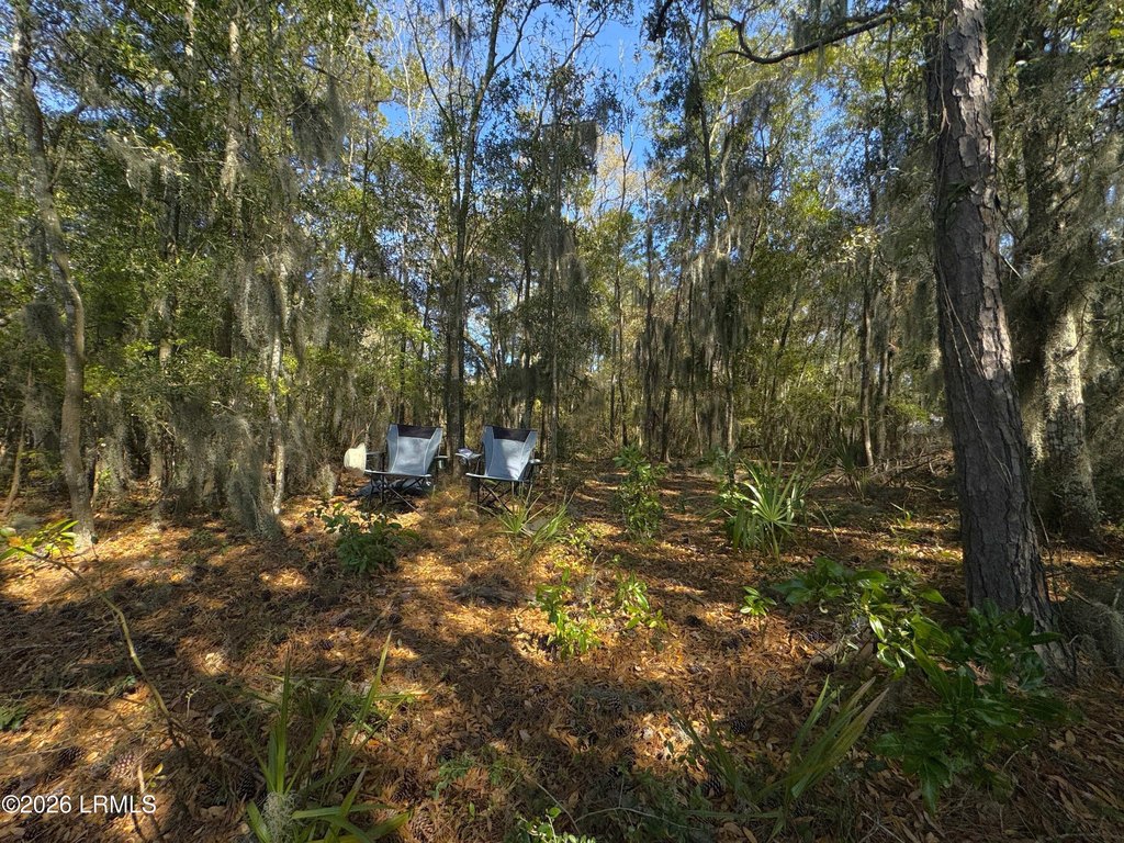 Picture 21