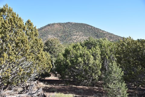 LAND - Williams, AZ