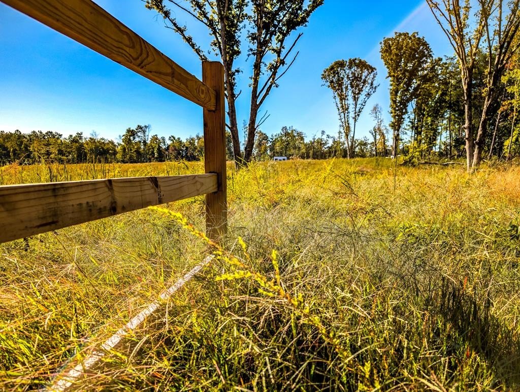 27 Acres Homesteading Land