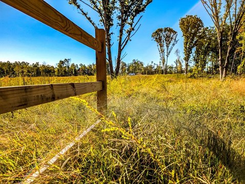 27 Acres Homesteading Haven