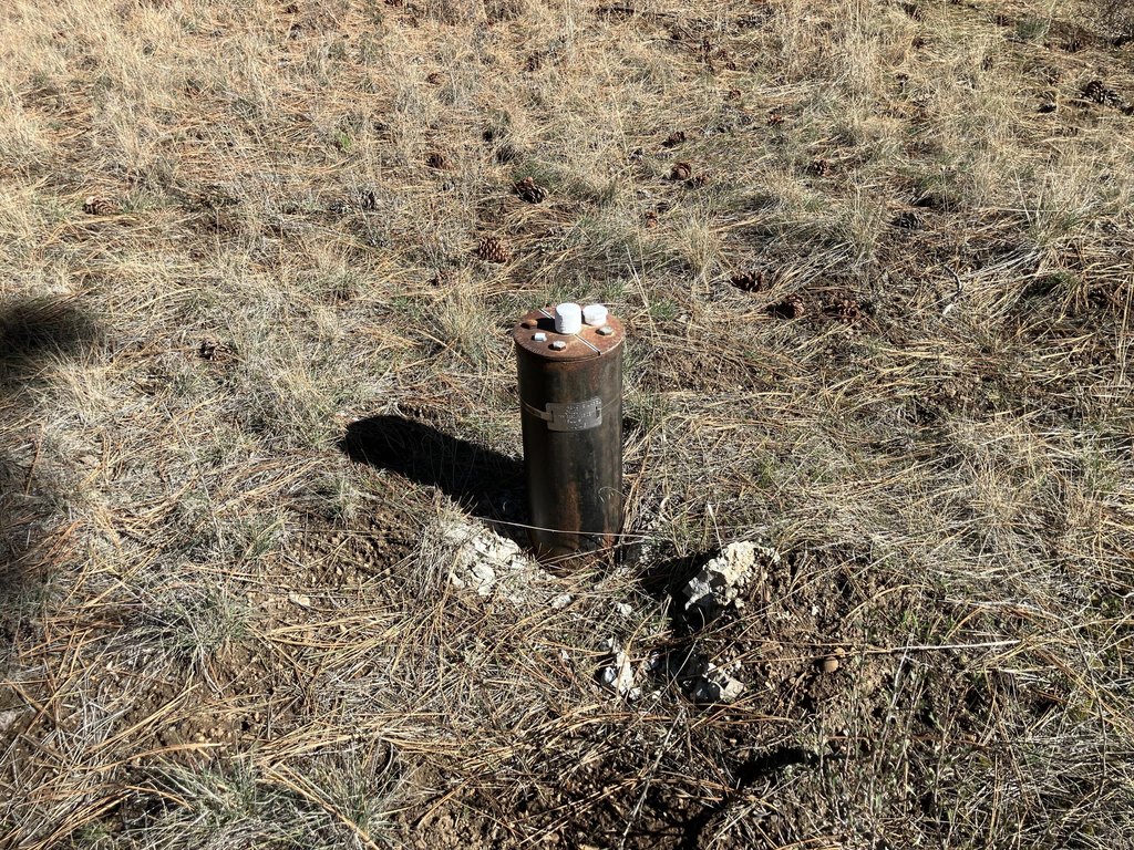 Picture 3