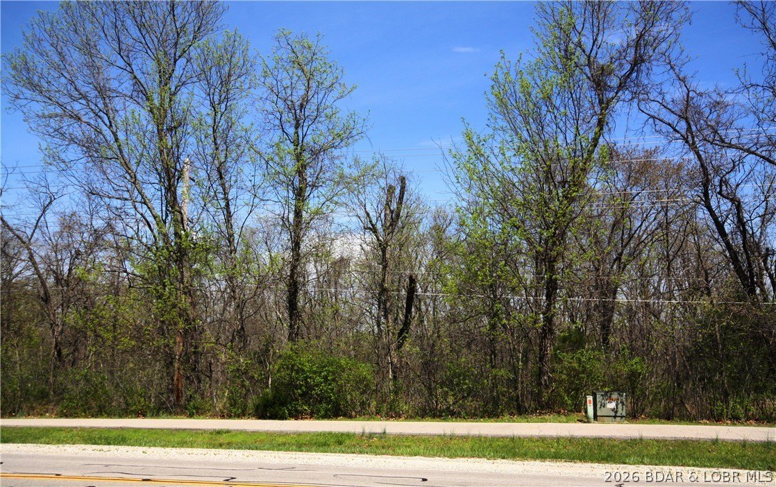 Residential Lot in Four Seasons