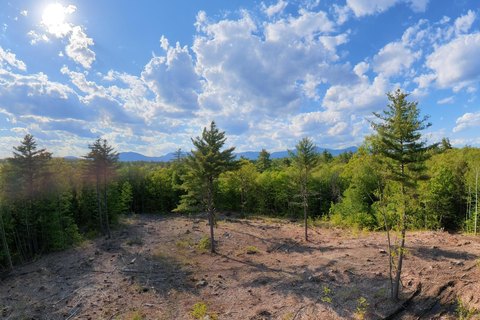 LAND - Sandwich, NH