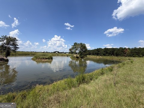 Pastureland with Two Ponds