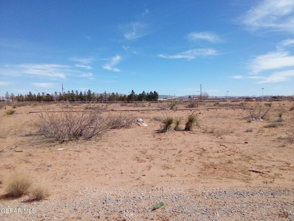 Picture 3