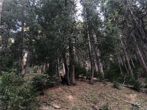 Vacant Land Parcel