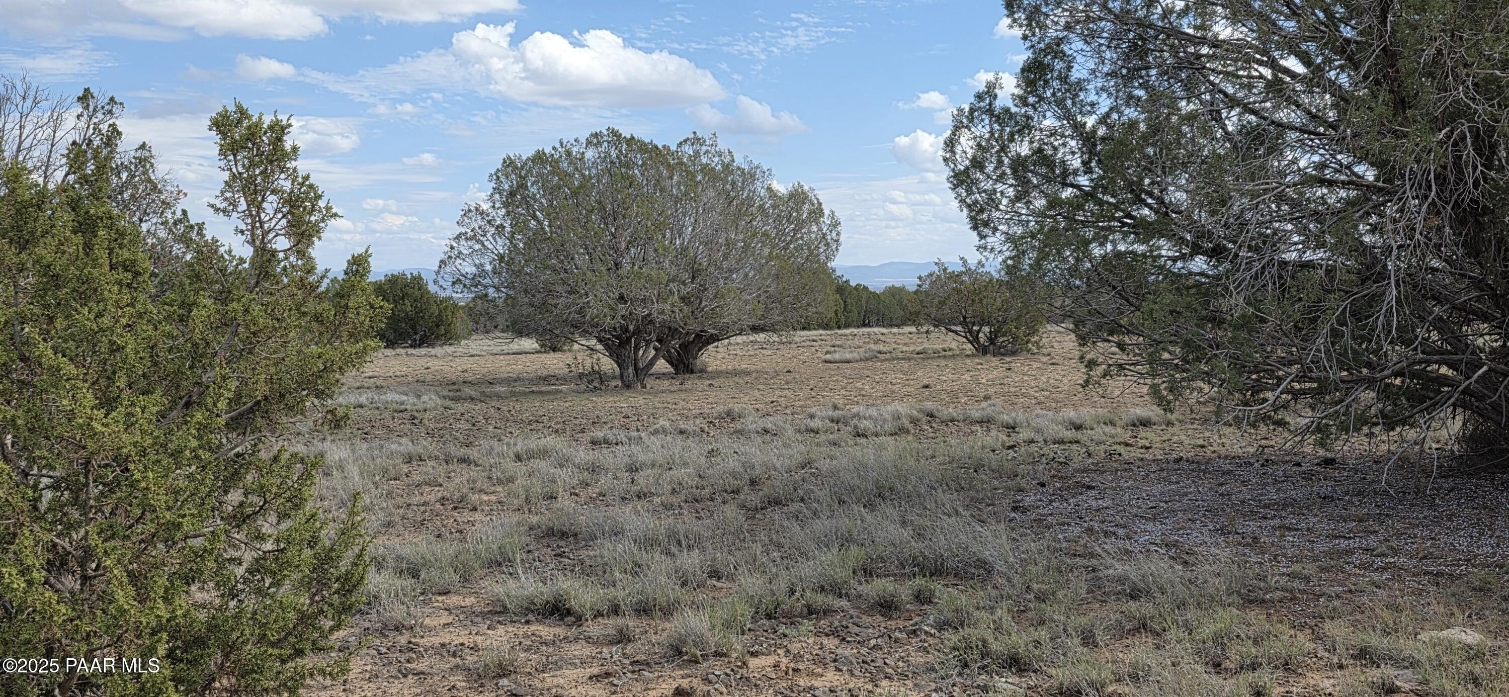 Land in Ash Fork, AZ