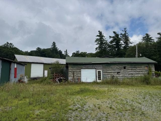 Picture 5