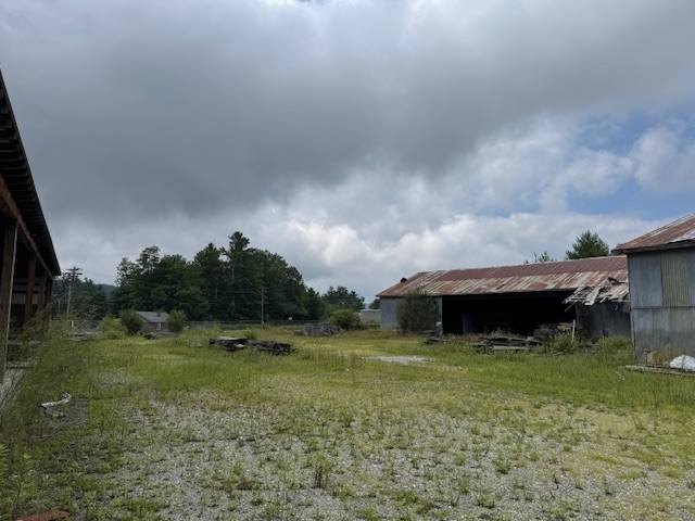 Picture 16
