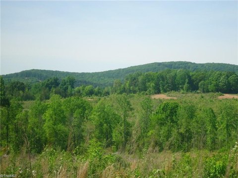 Scenic Acreage in Randolph County