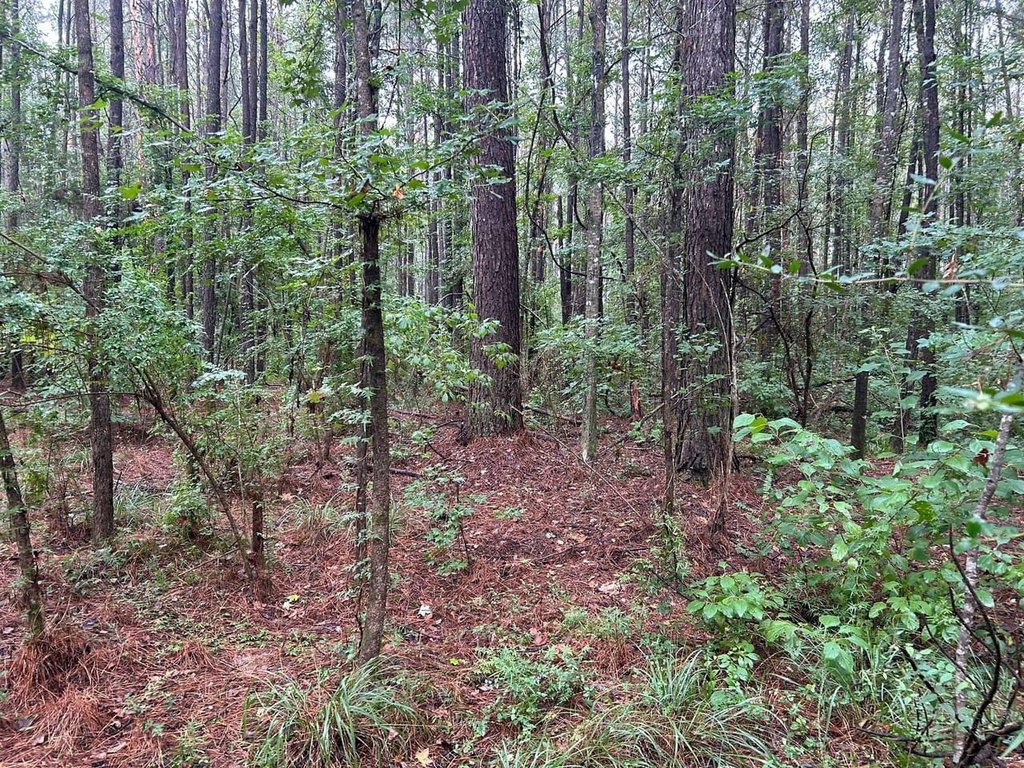Picture 10