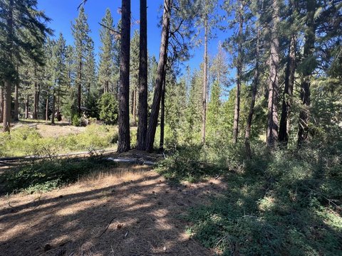 Land in Plumas Pines
