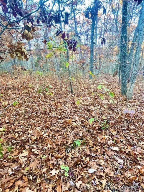 Land Near Lake Pocahontas