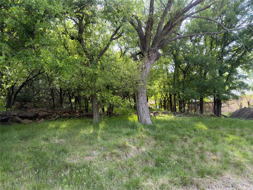 Picture 8
