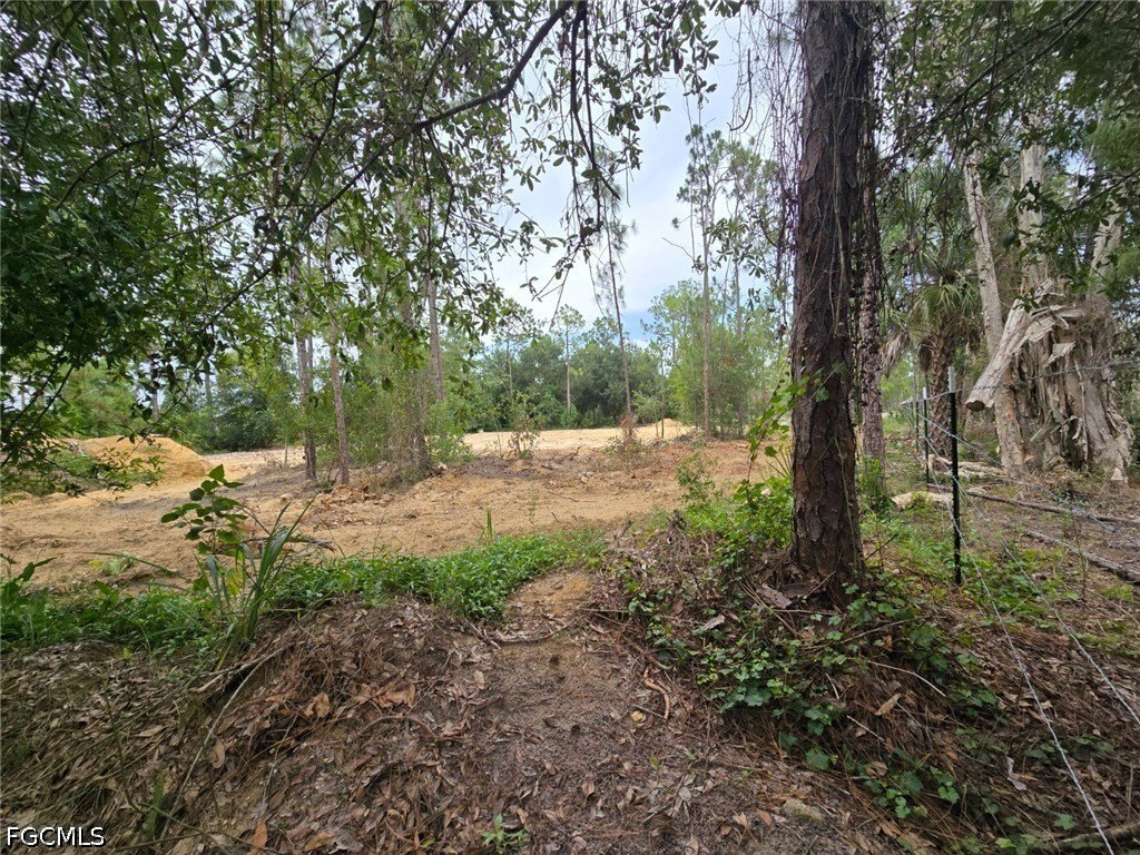 Picture 28