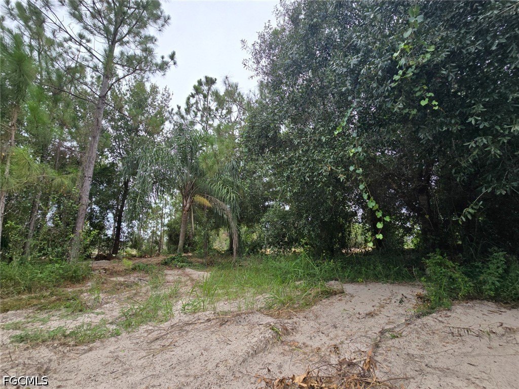 Picture 19
