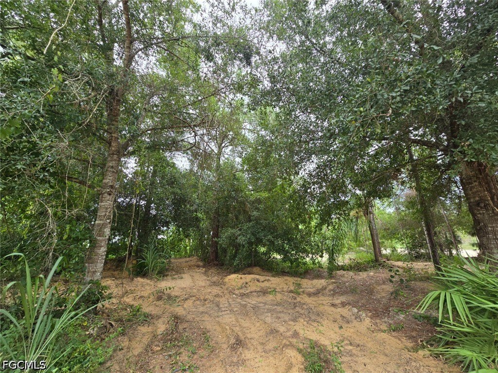 Picture 22