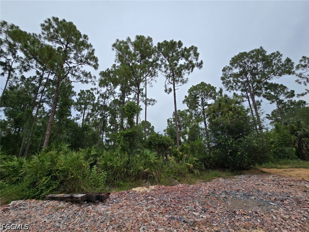 Picture 9